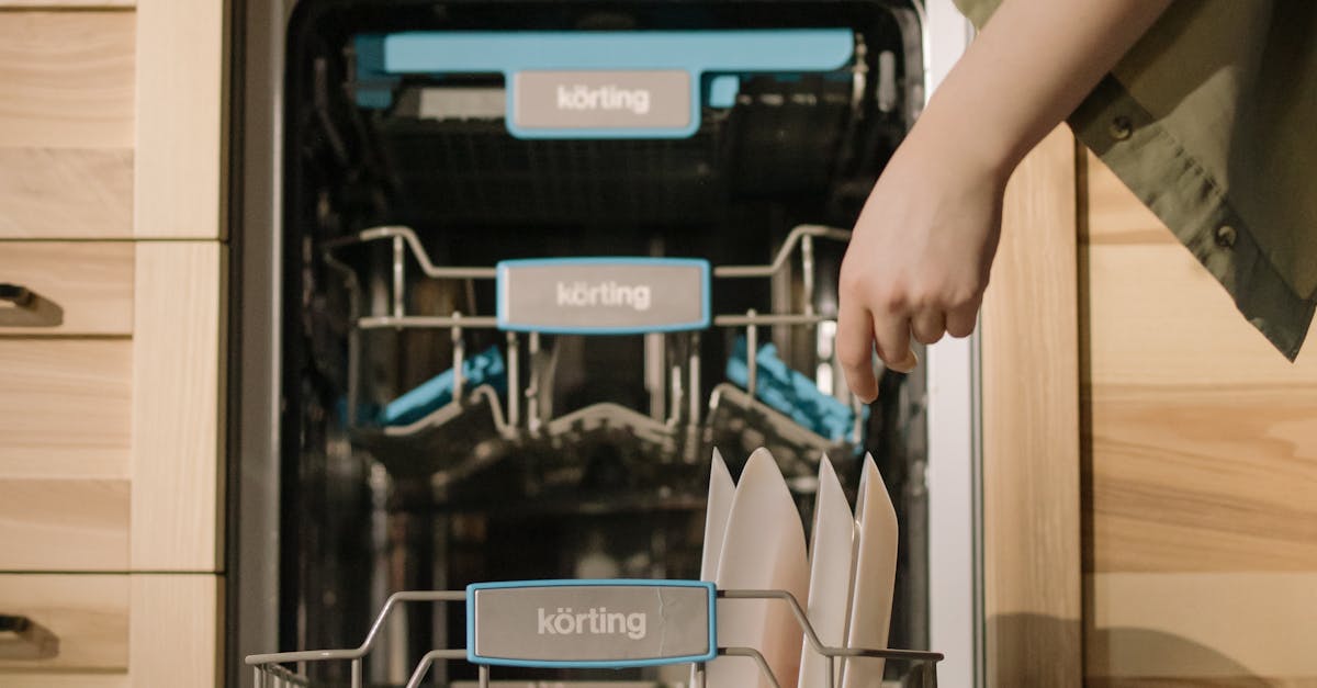 Monthly Appliance Care Routine for Optimal Function